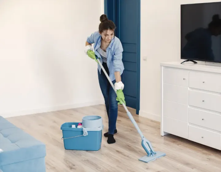 Femme de ménage Plottes
